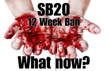 SB20. Our 12-Week Ban.  What Happened?  What Now?